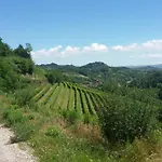 Bed & Breakfast La Collina Dei Passeri