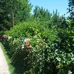 La Collina Dei Passeri 4*