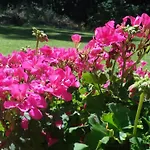 Bed & Breakfast La Collina Dei Passeri Pocapaglia