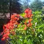 La Collina Dei Passeri Bed & Breakfast