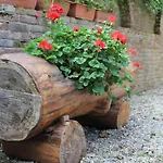 La Collina Dei Passeri Bed & Breakfast