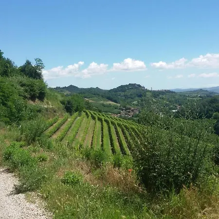 Bed & Breakfast La Collina Dei Passeri