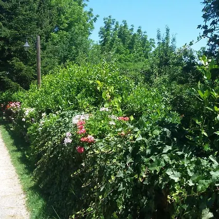 La Collina Dei Passeri 4*