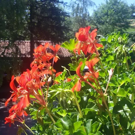 La Collina Dei Passeri Отель типа 