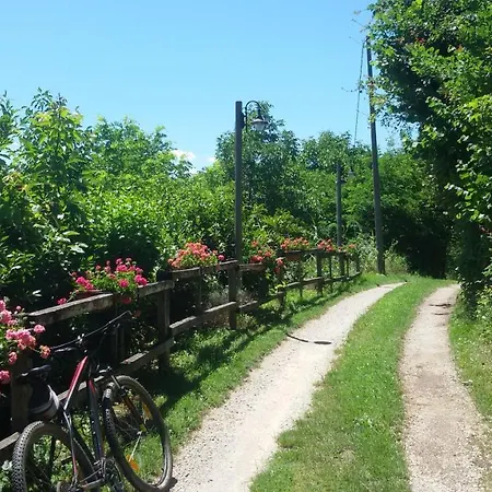 Bed & Breakfast La Collina Dei Passeri