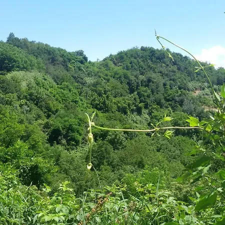 La Collina Dei Passeri Отель типа 