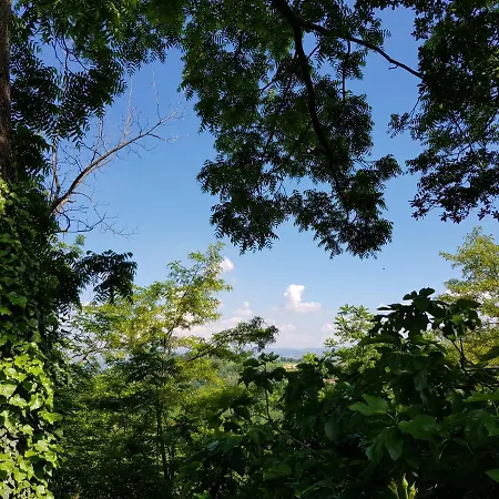 La Collina Dei Passeri