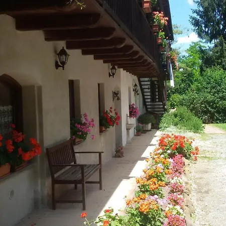 Bed & Breakfast La Collina Dei Passeri 4*