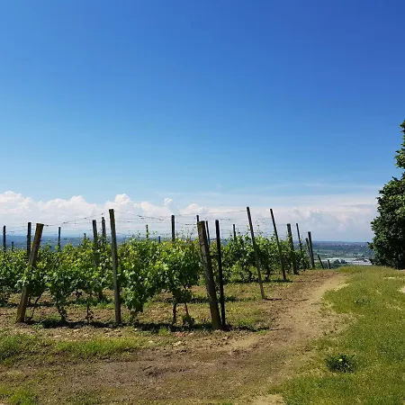La Collina Dei Passeri 4*