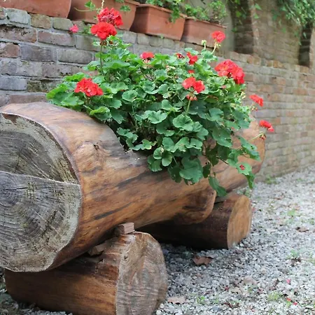 La Collina Dei Passeri Bed & Breakfast