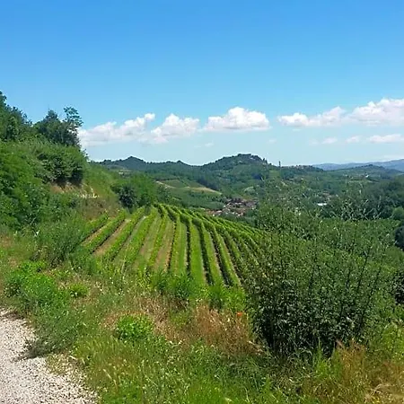 Bed & Breakfast La Collina Dei Passeri Pocapaglia