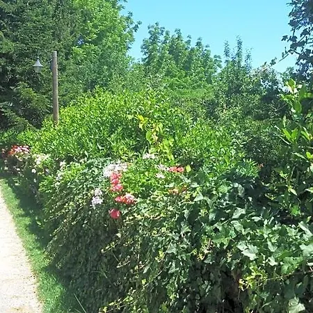 La Collina Dei Passeri