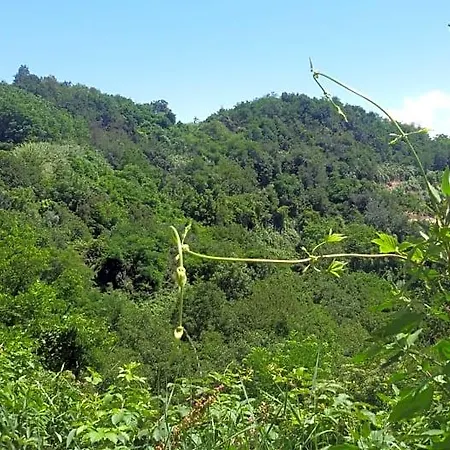 La Collina Dei Passeri Bed & Breakfast Pocapaglia
