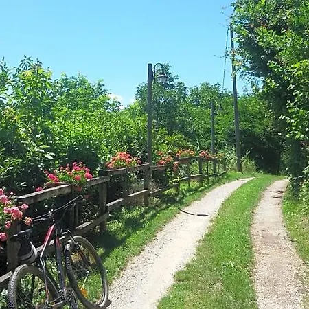La Collina Dei Passeri