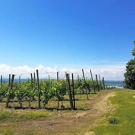 Bed & Breakfast La Collina Dei Passeri Pocapaglia