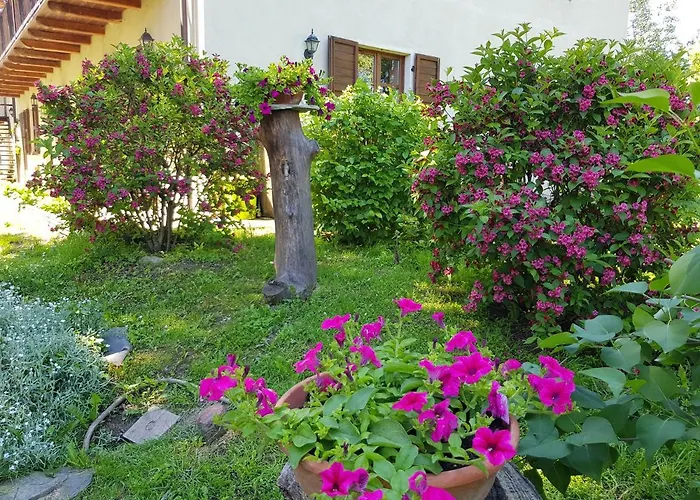 La Collina Dei Passeri ベッド・アンド・ブレックファスト 4*
