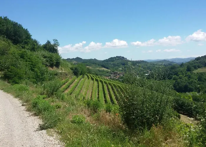 ベッド・アンド・ブレックファスト La Collina Dei Passeri