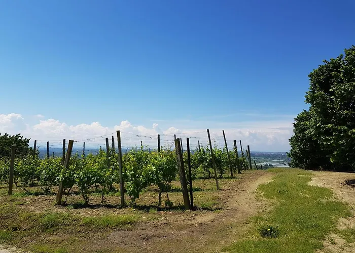 La Collina Dei Passeri 4*